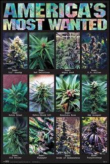 Lerinthomas2's profile picture. #teamfollowback #team420 love my hubby, love my.family. Love me or hate me im still standin