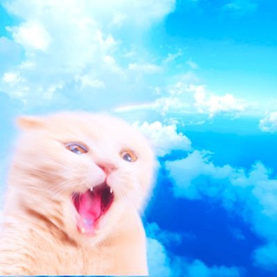 そのちさんのプロフィール画像