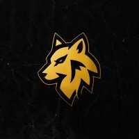 Salvis94 (@s4lvis94) 's Twitter Profile