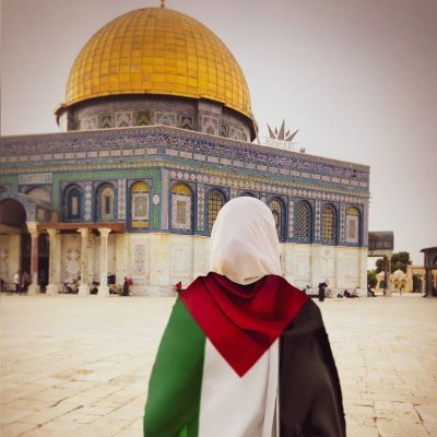 لا يسكن في قلبي الم
عفوا لكل متابعيني حسابي الأول تهكر