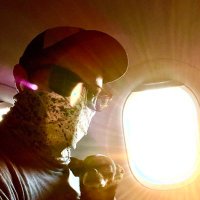 Alex 🌬️ (@thefandelier) 's Twitter Profile