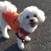 🍊AS AMIGO11🍊 (@asamigo11) Twitter profile photo 🍊AS AMIGO11🍊 (@asamigo11) Twitter profile photo