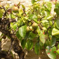 Antje Kruger (@antyekruger) 's Twitter Profile