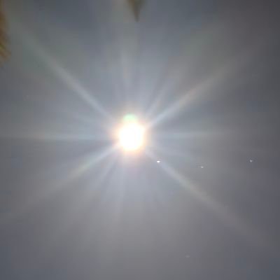 phillip_de92903's profile picture. 