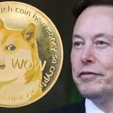 Elonmusk399755's profile picture. 