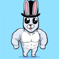 BuskAlgo (@busk_algo) 's Twitter Profile Photo BuskAlgo (@busk_algo) 's Twitter Profile Photo