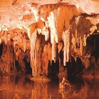 stalactite 🍉 - i need michael kaiser gone (@oh_garbage) 's Twitter Profile