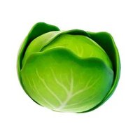 CABBAGE KING. (@cabbageking0) 's Twitter Profile
