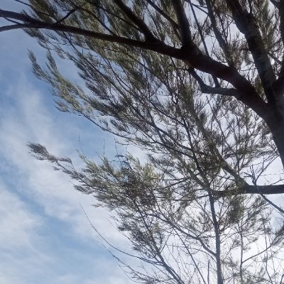 julieanahope's profile picture. I Am At My Highest Timeline!🪷 
Astrology Enthusiast ✨