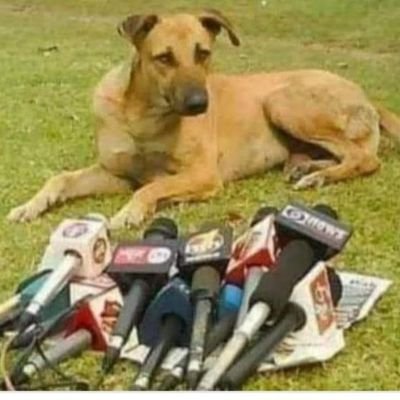 DreamsMarchant's profile picture. రోజూ వారి దినచర్య నుంచి కాస్త రిలీఫ్ పొందటానికి twitter వ్యసనం అయ్యింది. నా bold  పోస్ట్ లు,రీ ట్వీట్ లు. bold కంటెంట్ అభ్యంతరం అయితే చెప్పండి.remove చేస్తాను.