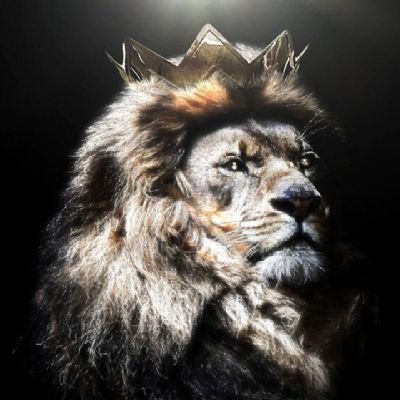 shodipo_olawale's profile picture. 