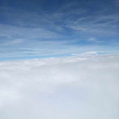 bellyw678's profile picture. 