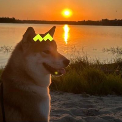 liuwhhis1's profile picture. Metya —全球首个 Al Agent与 DePIN结合的Web3约会平台宣传大 使之类的 Metay宣发大师  R3RBRVXN