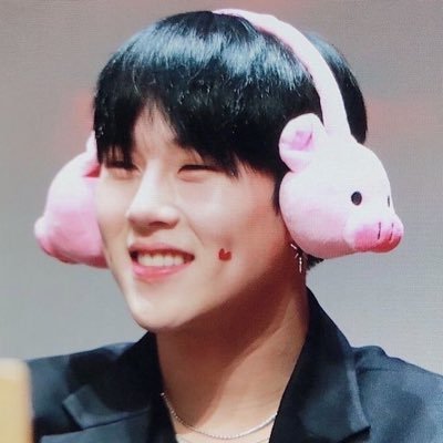 ⋅˚₊‧ ୨୧ ‧₊˚ ⋅ monsta x + alnst collector ☆ ᶻ ໒꒱ ‧₊˚ 🇲🇽🐯