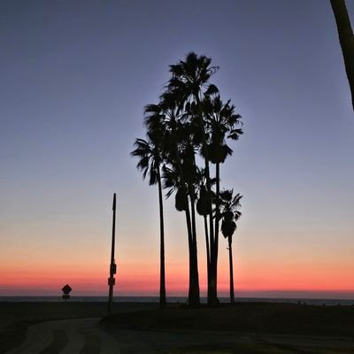 NuncioCastillo's profile picture. live a stoic life for life is never fair.