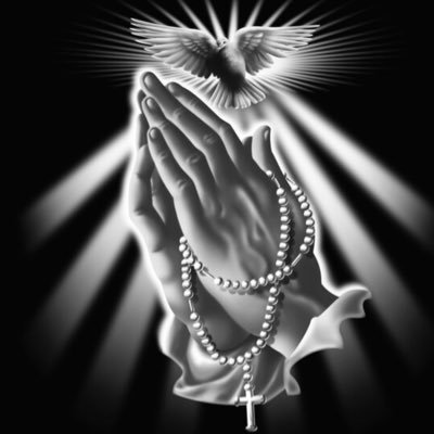☦️🙏⛪️🇻🇦🏈⚾️ Blessed to be Catholic, Family man,football and baseball fan, wish everyone would humble themselves and become Catholic, Viva Cristo Rey