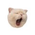 ay (@ixulxo) Twitter profile photo ay (@ixulxo) Twitter profile photo