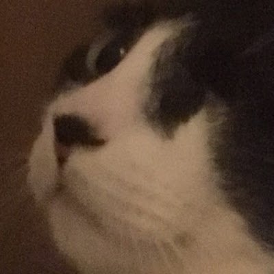 RamtiGame's profile picture. 