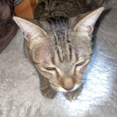 56bpV6rnOs78984's profile picture. 