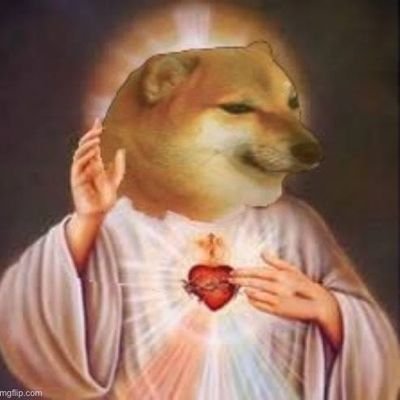 AllHailKaapari's profile picture. Biologically born as Dog, Identify myself as Sheep.