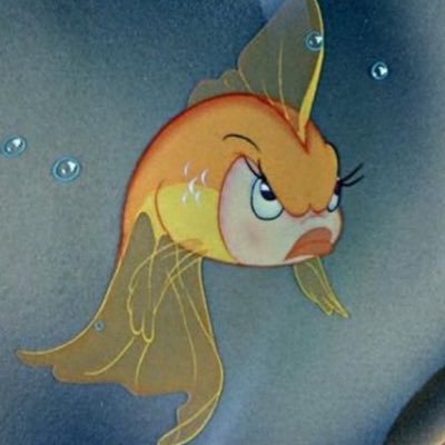 carnalflowermfc's profile picture. ▯ post traumatic mess. ▯ 🌪🕊