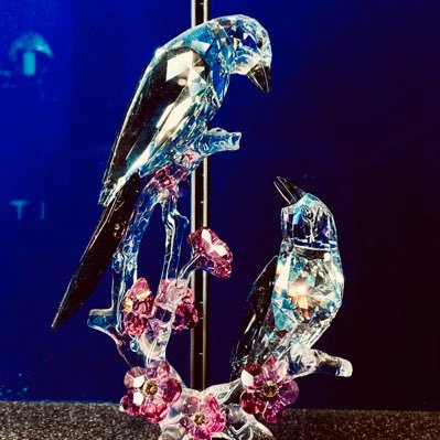 Yn14vcS0Sy6A0Ft's profile picture. プロセカ、一歌推し/鳴潮、長離推し/スタレ、トパーズ+サフェル(new)推し/原神、綾華推し/ブルアカ、イチカ+ナギサ