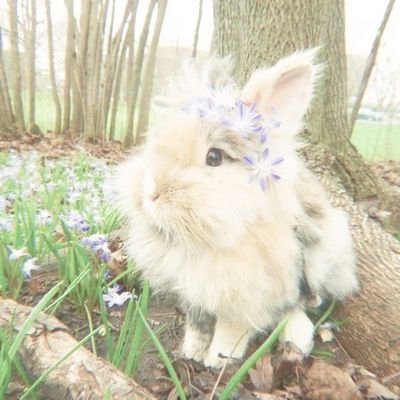 shinjo_bubble's profile picture. 🍀A busy digital artist,,