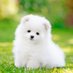 Karen Liu (@karenliu1113618) Twitter profile photo Karen Liu (@karenliu1113618) Twitter profile photo