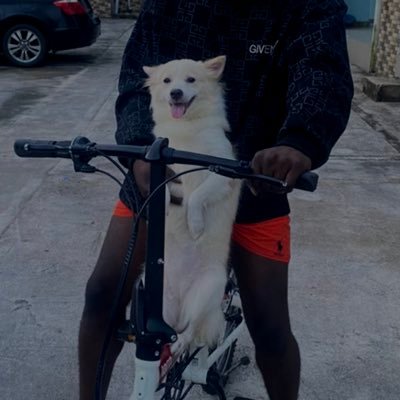 dericklip's profile picture. Arsenal Fan|| FC🦅❤️||Web3|| Child of God. Lover of Music, Women and Football