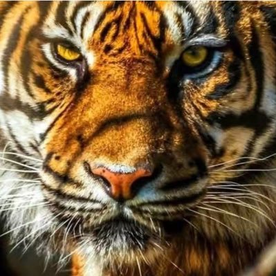 Angg987's profile picture. 