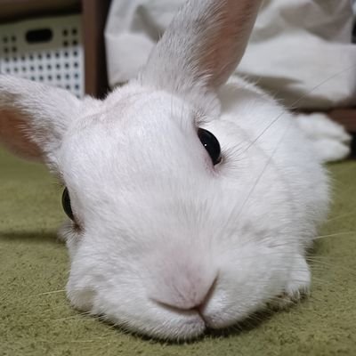R5.3月開局/IC705@HFこわい/隠れPOTA運用/QSLカード歓迎/JARLコンテストアレルギー😨/いわきFC応援⚽