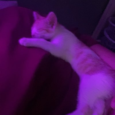 jJUPIT3Rr's profile picture. ok im over it now lol