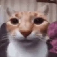 MANO CƎZA (@cascao3s) 's Twitter Profile