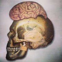 ᴅʀ ꜰ. ꜰʀᴀɴᴄɪꜱ (@dr_f_francis) 's Twitter Profile Photo ᴅʀ ꜰ. ꜰʀᴀɴᴄɪꜱ (@dr_f_francis) 's Twitter Profile Photo
