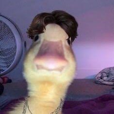 pcn1273651's profile picture. 