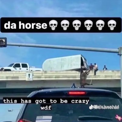 del6579's profile picture. 