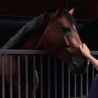 أميرهـ | ♡ (@ar_736) 's Twitter Profile