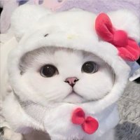 진 (@lxc12_) 's Twitter Profile