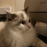 あさだ (@aerosmithbz) 's Twitter Profile