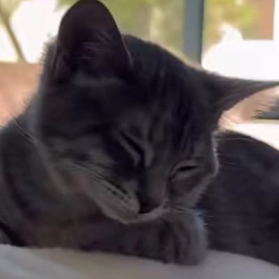 ha_aram58109's profile picture. 