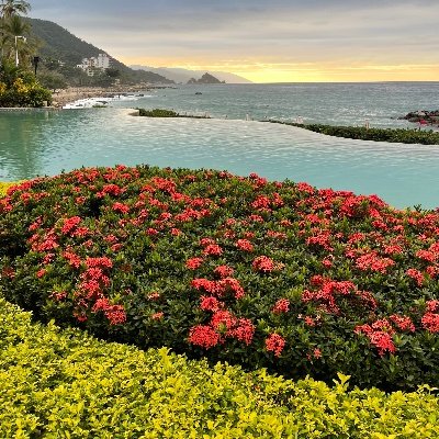 sbd09041992's profile picture. 