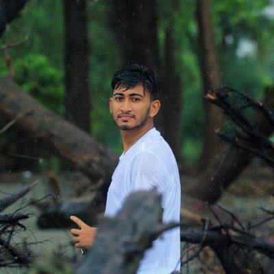 Hello, I'm a Professional Cyber Security Specialist and WordPress Developer. I have 4+ years of experience as a cyber security consultant.I'm expart in this fie