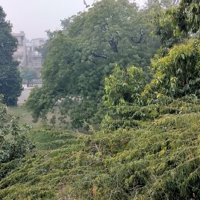 BhavikVish57719's profile picture. 