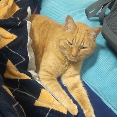 BBUnXbsGzN28384's profile picture. もにーです
東方非想天則やってます
趣味で作曲とか