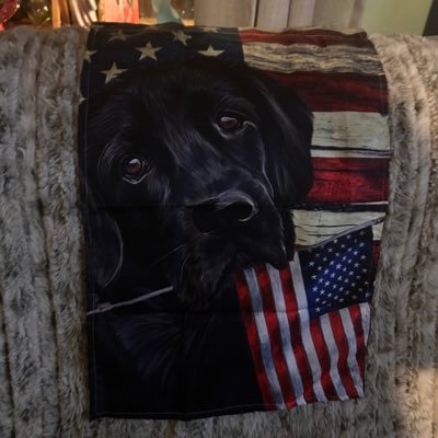 LadySquirrel444's profile picture. Dad POW WWII- My Loves: #1-God, family, US Flag, classic cars, fishing 🇺🇸I♥️Vets, LEOs 🇺🇸🥰MAGA 🚫NO-DMs🚫