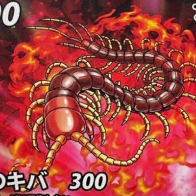 distopia4810's profile picture. 蟲神器やってます。公認大会に積極的に出て行きたい。