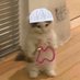 Alberto06_eth (@alberto06_eth) Twitter profile photo Alberto06_eth (@alberto06_eth) Twitter profile photo