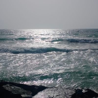 Neecom00's profile picture. Human rights Activists