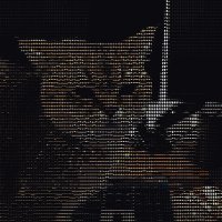 Joey B (@joeybab3) 's Twitter Profile