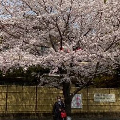 q3bShobKO767082's profile picture. 